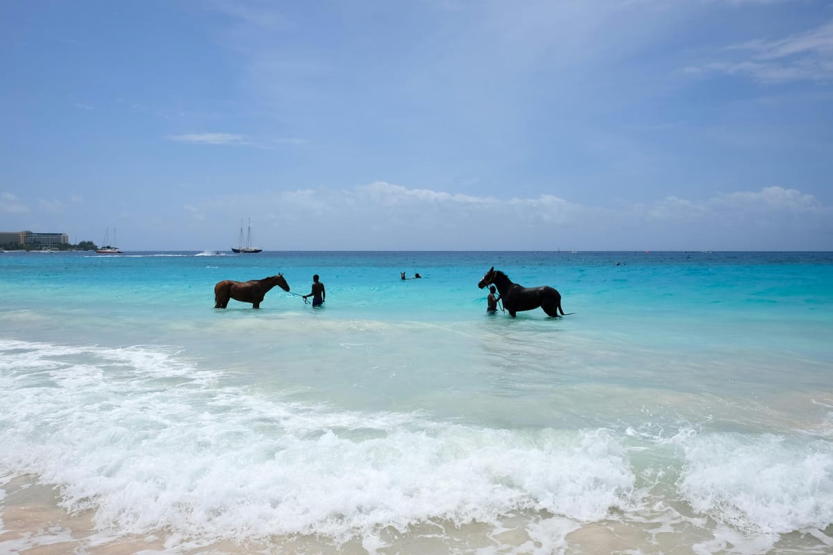 Welcome to the New Home of Let's Do It Barbados!
